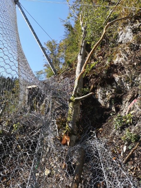 Steinschlagschutz