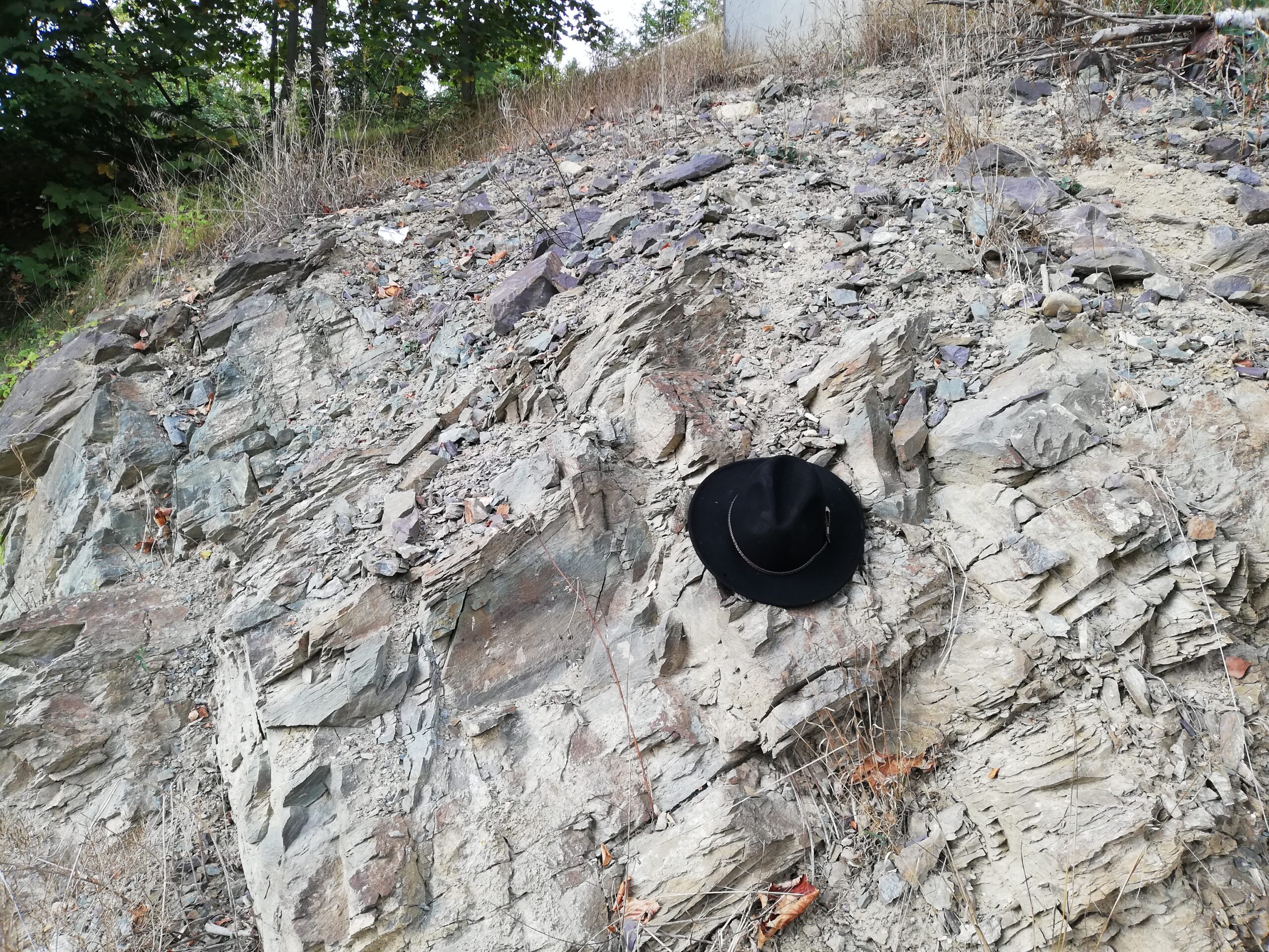 Geologische Kartierung