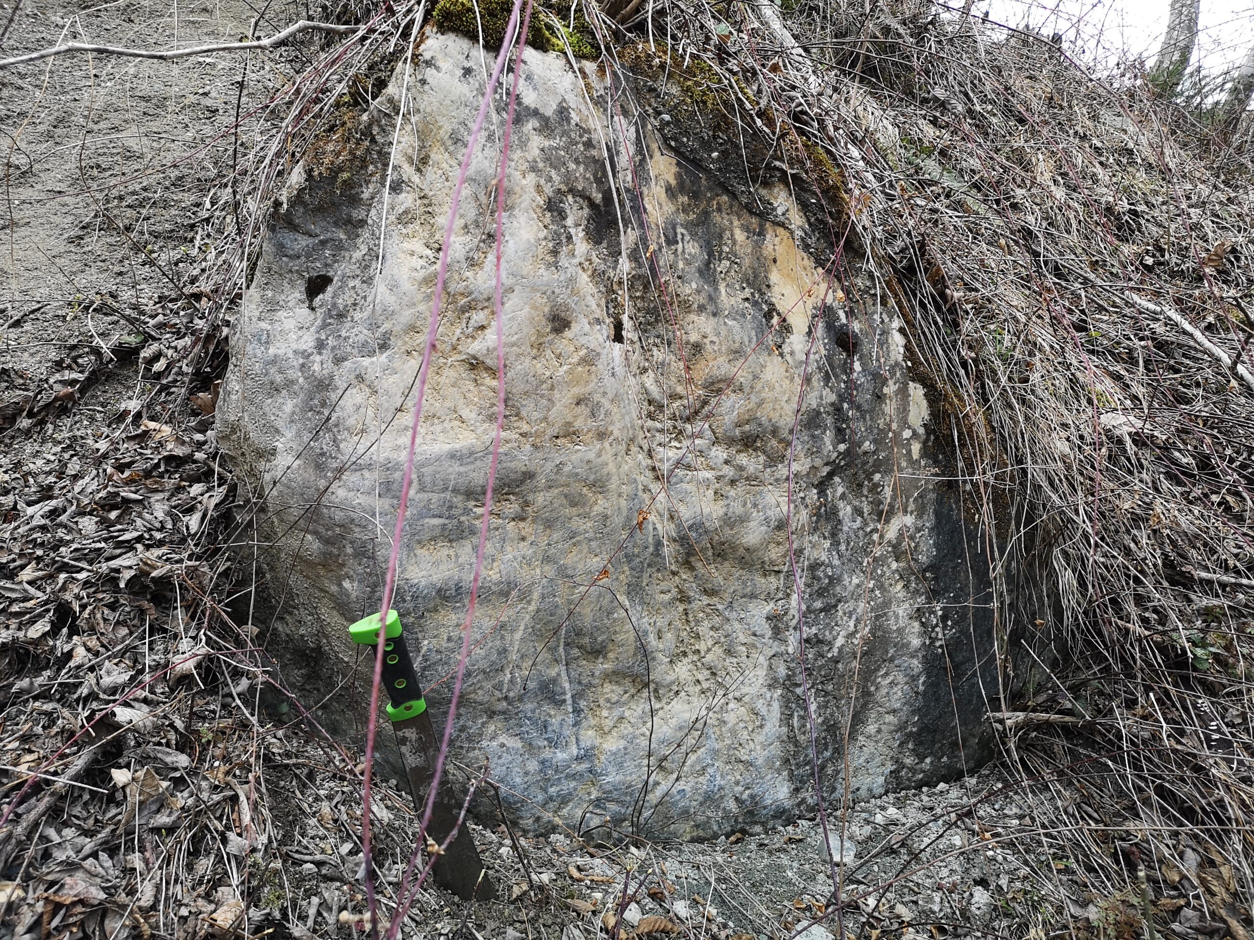 Geologische Kartierung