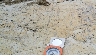 Geologische Kartierung