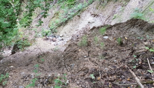 Deponie Schönau am Königssee