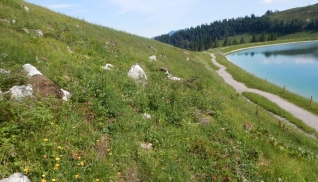 Speicher Angeralm