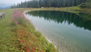 Speicherteich Kogelalm