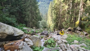 Fortbildung Wildbachbegehung