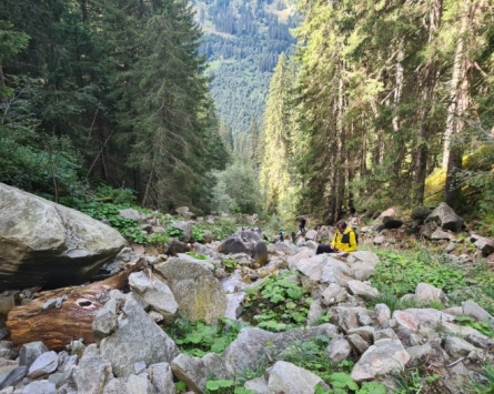 Fortbildung Wildbachbegehung