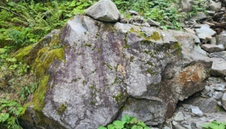 Fortbildung Wildbachbegehung