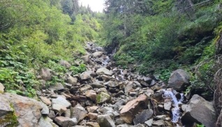 Fortbildung Wildbachbegehung